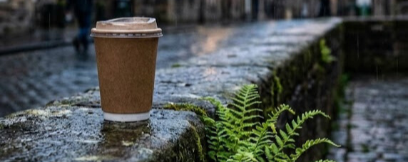 Close up of a takeaway coffee cup resting on a wet stone wall in a Scottish town, with a bright green fern growing out of the stone next to it. Rainy cobblestone street in the background.